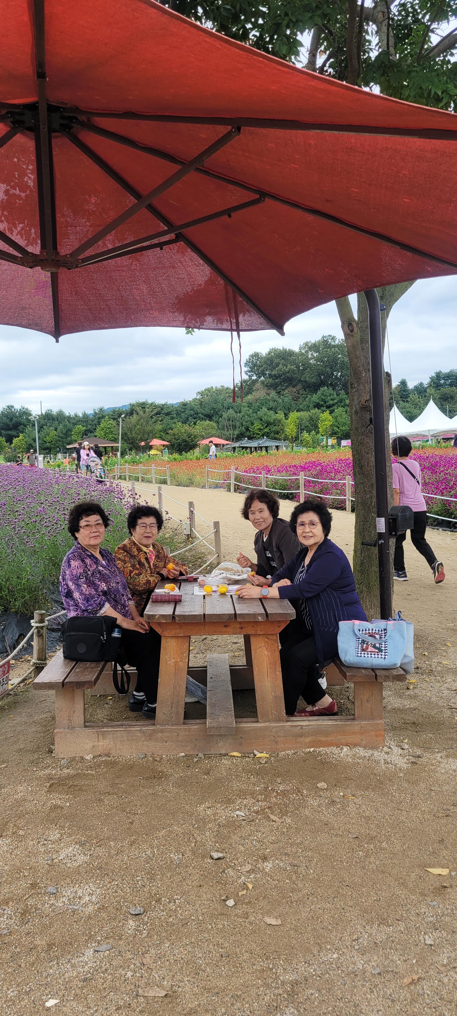 KakaoTalk_20250928_155726030.jpg KakaoTalk_20250928_155726030.jpg