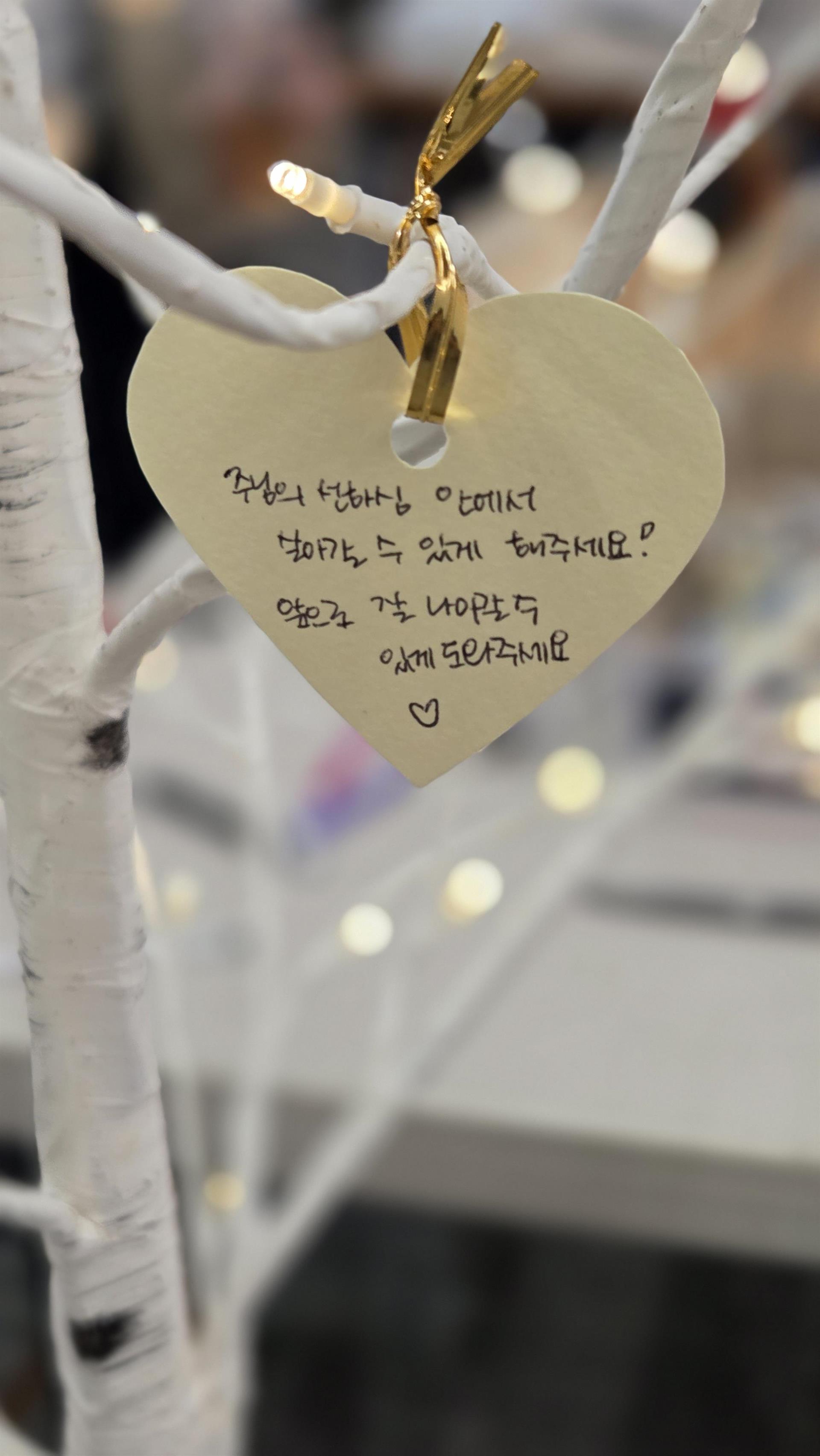 KakaoTalk_20260516_163924615_12.jpg